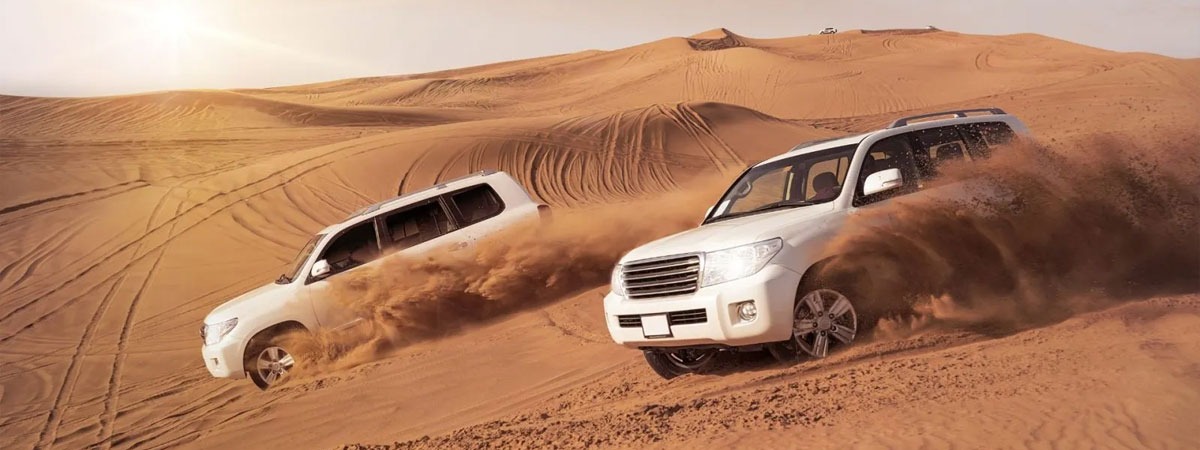 Cruises, city tours and desert safari